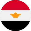 埃及镑 (EGP)